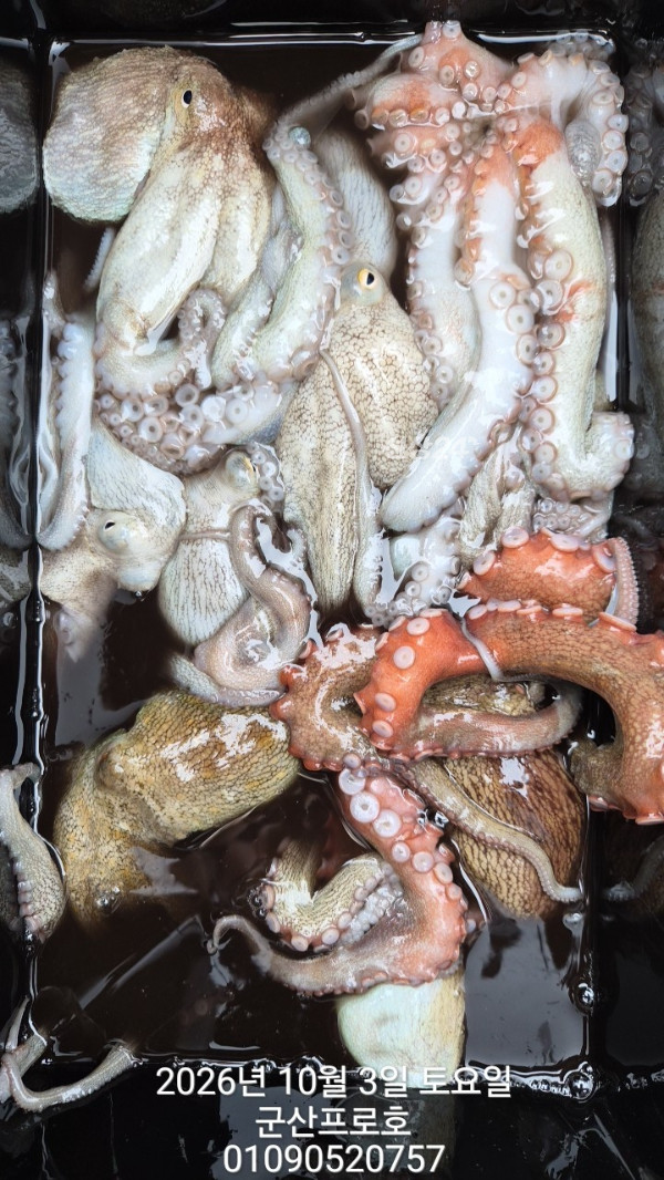 BandPhoto_2026_10_06_10_39_00_11.jpg