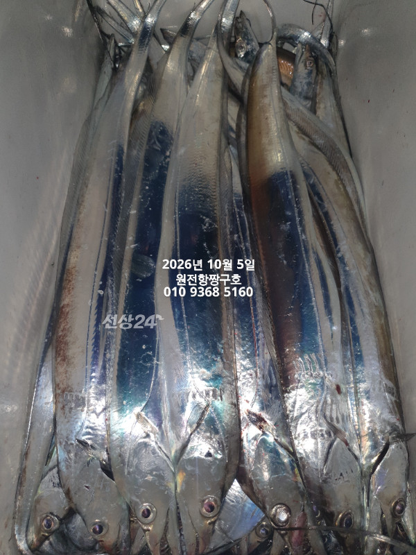 KakaoTalk_20261005_051425255_14.jpg