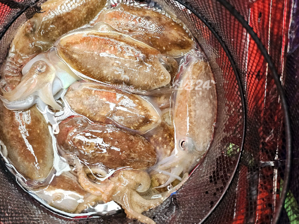 KakaoTalk_20261019_194848393_13.jpg