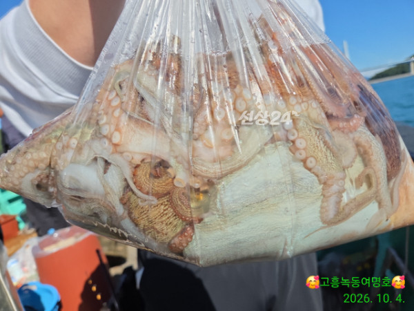 쎄븐피싱클럽(선상 버스출조전문)_사진_20261004_8.jpg