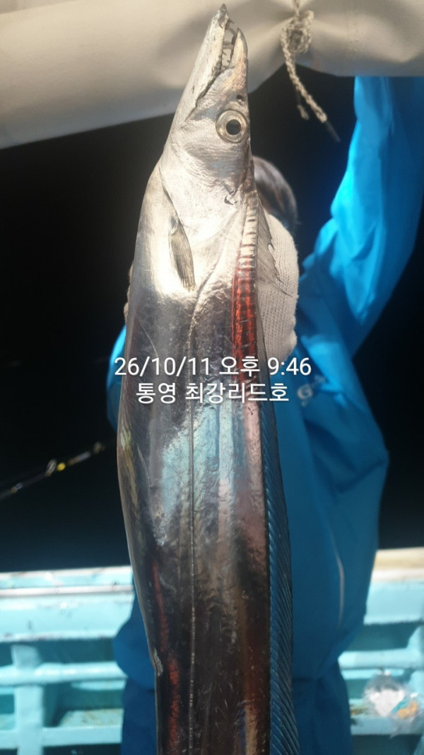 KakaoTalk_20261014_100554675.jpg