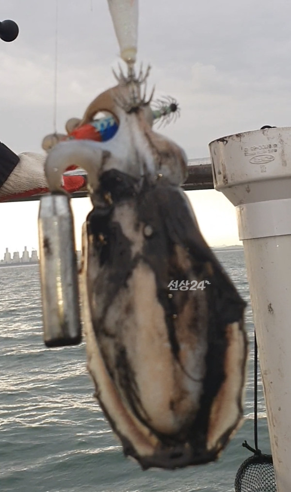 Screenshot_20261015_115247_Video Player.jpg