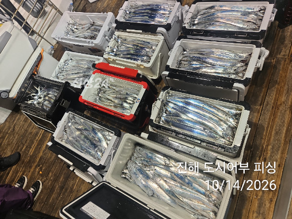 KakaoTalk_20261014_043827989_13.jpg