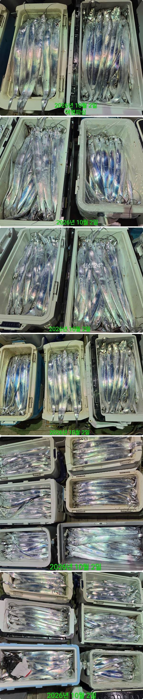 2일갈치하2.jpg