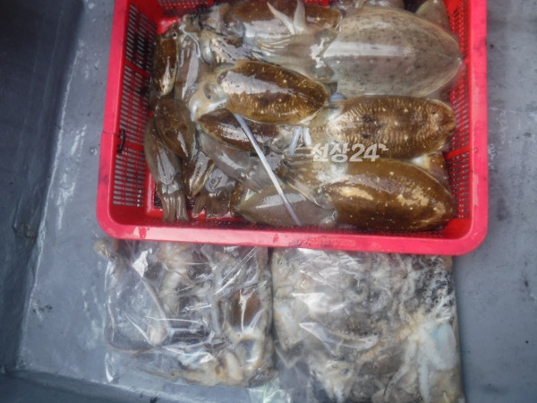 일괄편집_31.jpg