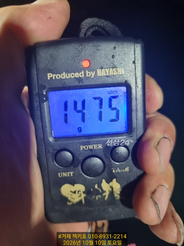 1000095421.jpg