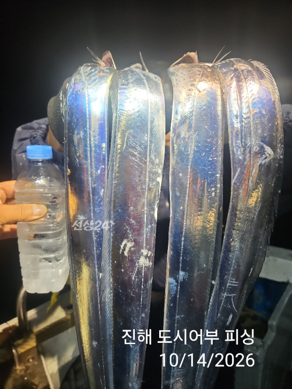 KakaoTalk_20261014_043827989_08.jpg