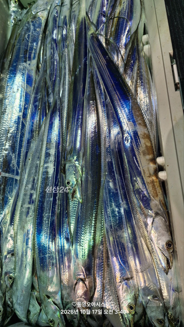 84551.jpg