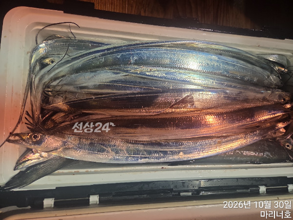 1793311325591.jpg