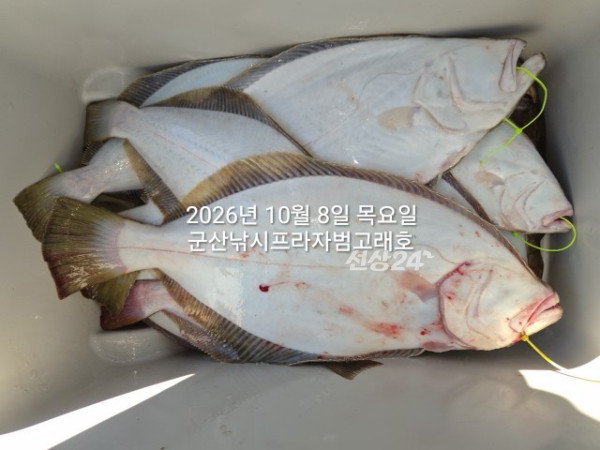 KakaoTalk_20261008_163832700_03.jpg