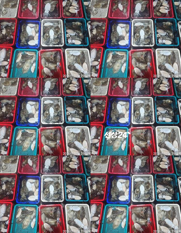 1793314666837-tile.jpg