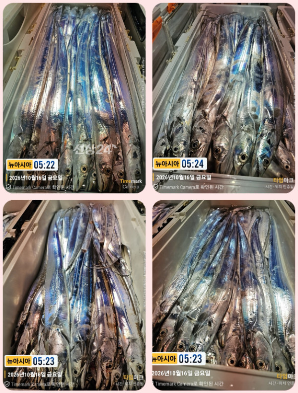 KakaoTalk_20261016_062343314_11-tile.jpg