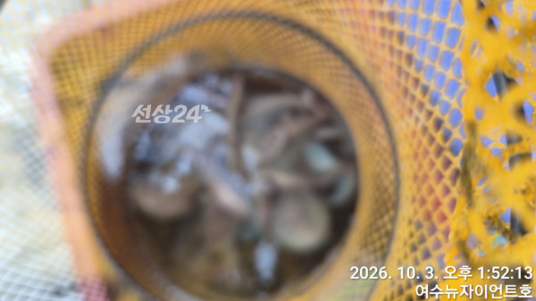 1791014162835-9.jpg
