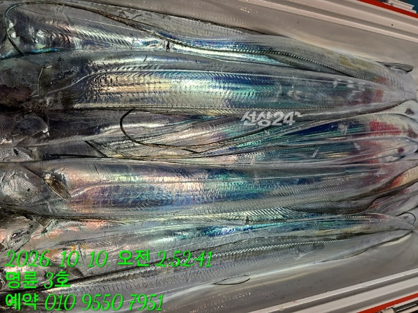 KakaoTalk_20261010_063520350_16.jpg