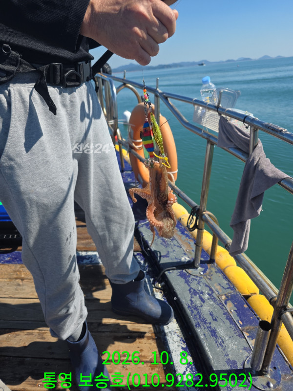 24908.jpg