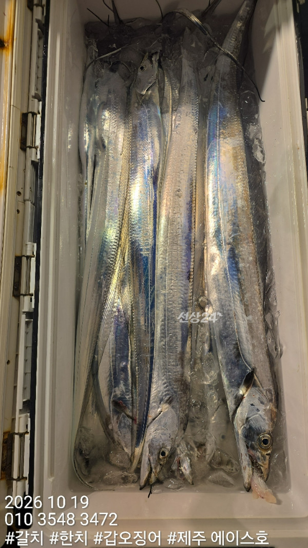 KakaoTalk_20261019_132436958_08.jpg