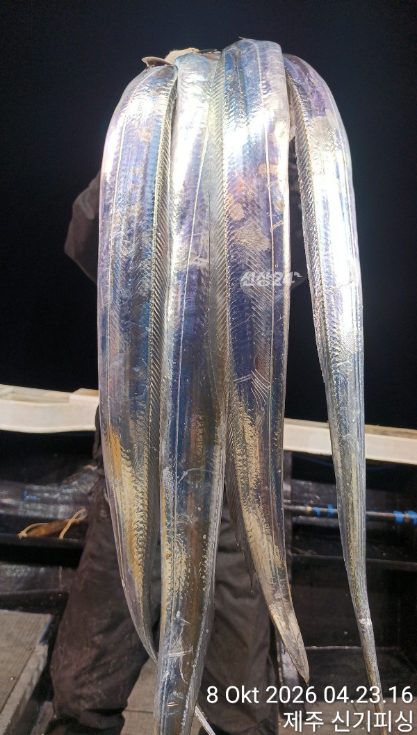 KakaoTalk_20261008_092608421_22.jpg