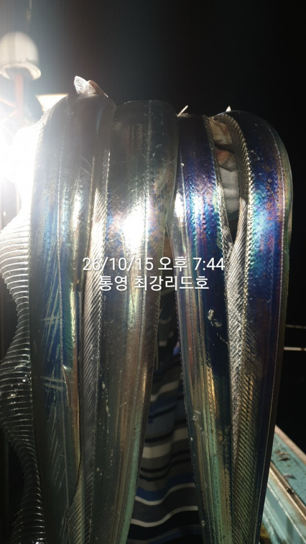 KakaoTalk_20261016_114521200.jpg