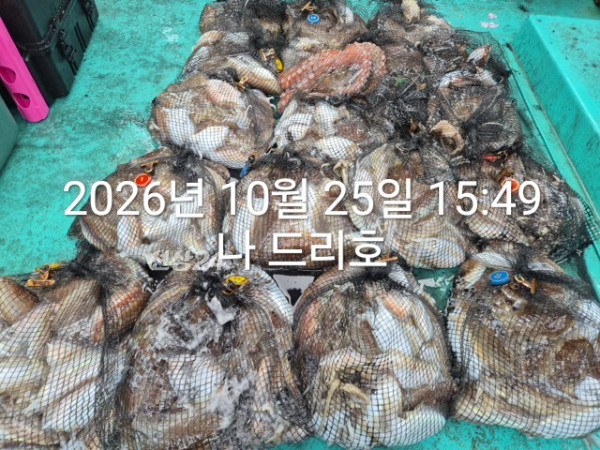 KakaoTalk_20261025_165157312_06.jpg