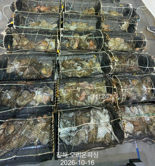 KakaoTalk_20261016_020529972_16.jpg