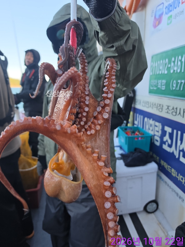 쎄븐피싱클럽(선상 버스출조전문)_사진_20261022_5.jpg