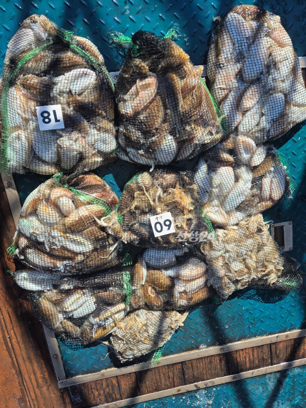 1791358888649.jpg