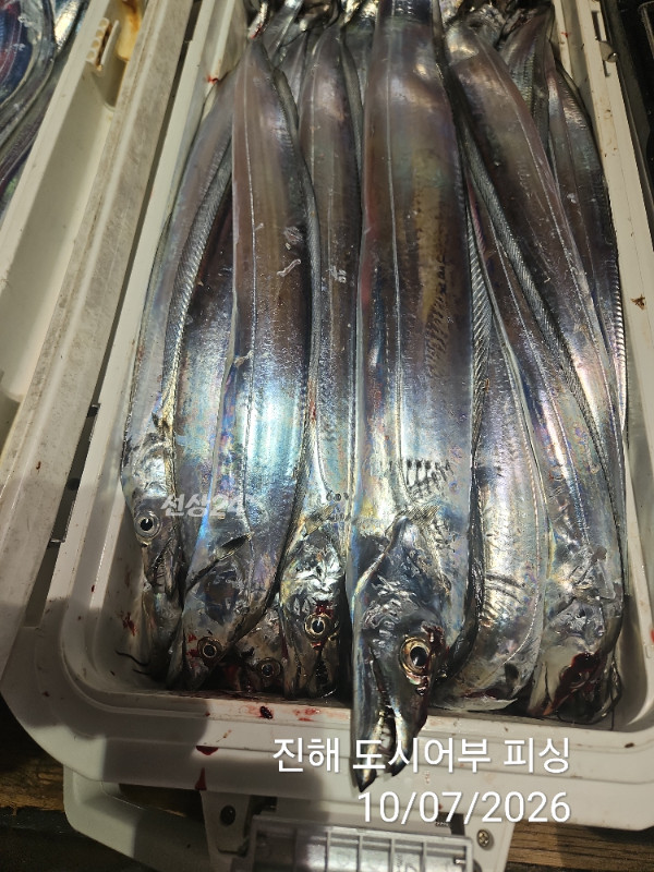KakaoTalk_20261007_050419897_19.jpg
