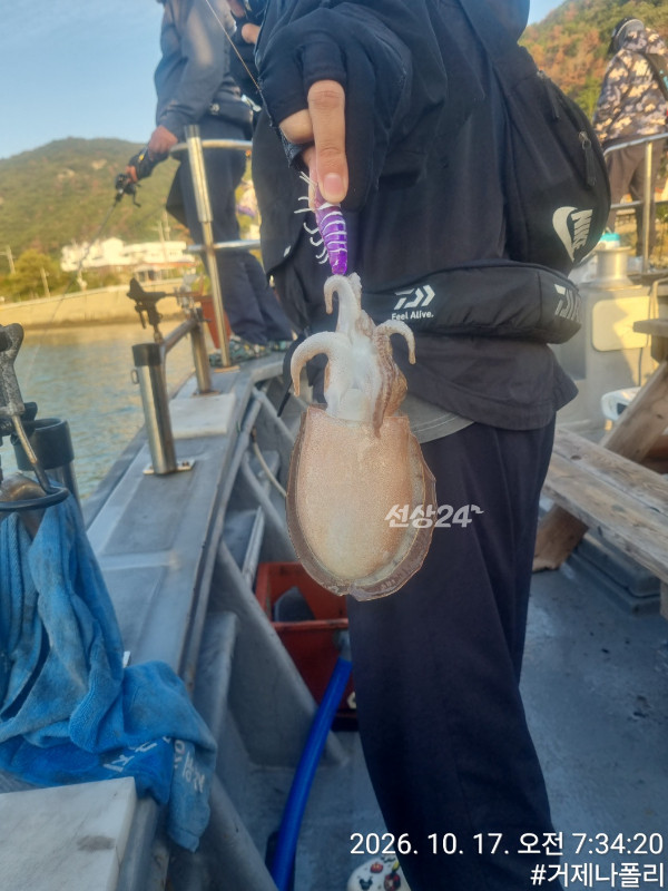 KakaoTalk_20261017_202338791_12.jpg