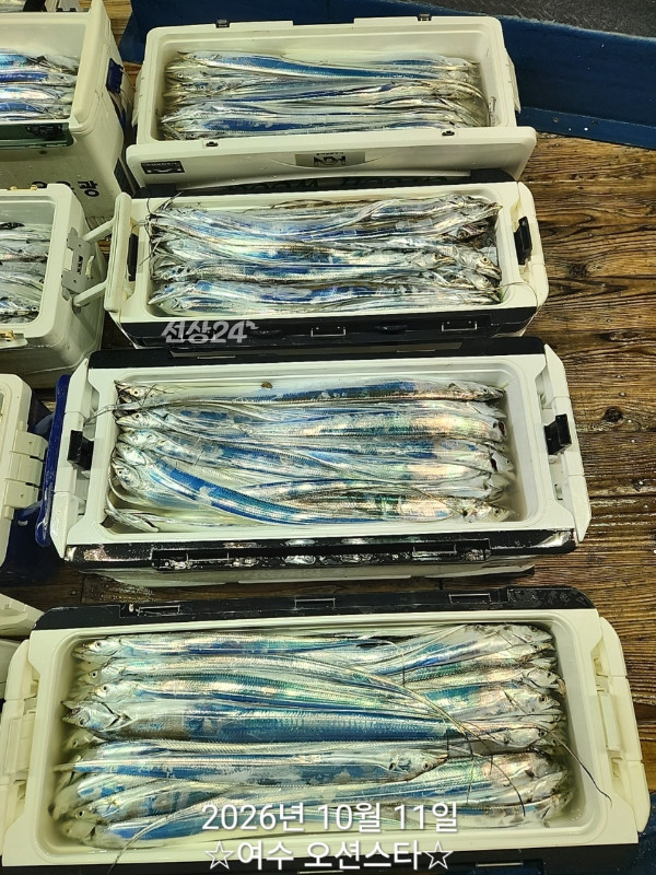 1000061388.jpg