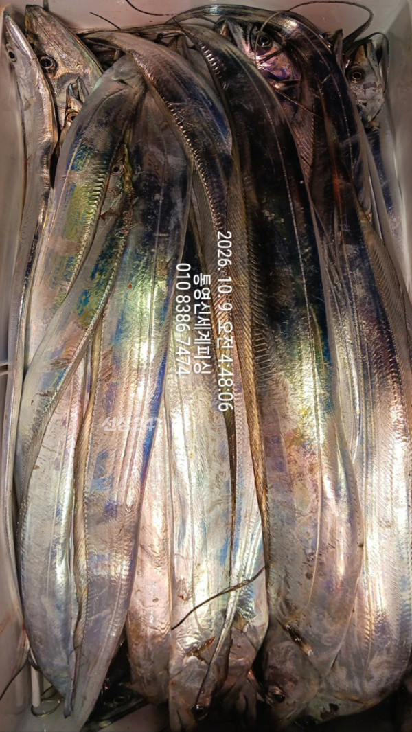1791494463968.jpg