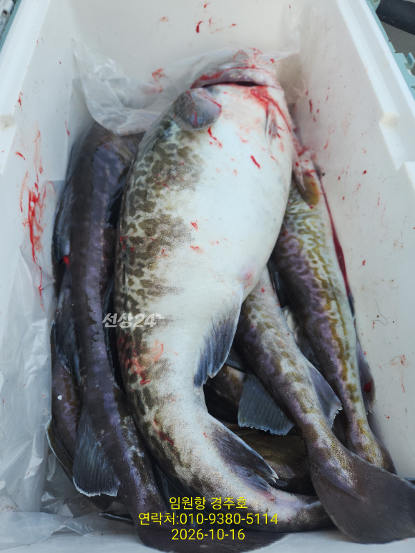 1000050336.jpg