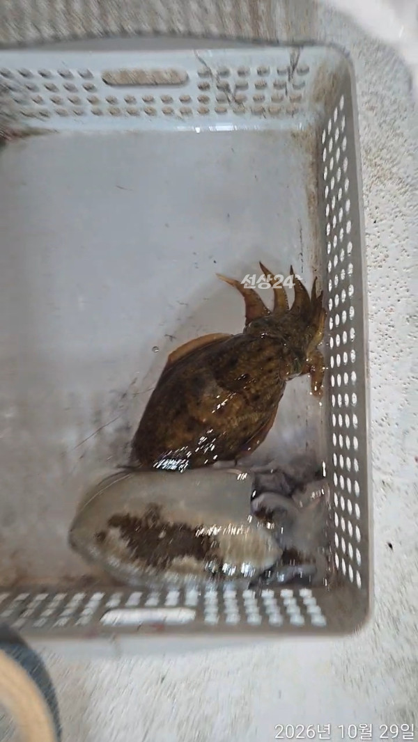 TimeVideo_20261029_002500.jpg