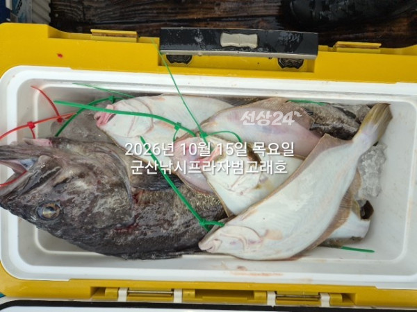 KakaoTalk_20261015_173103111_03.jpg