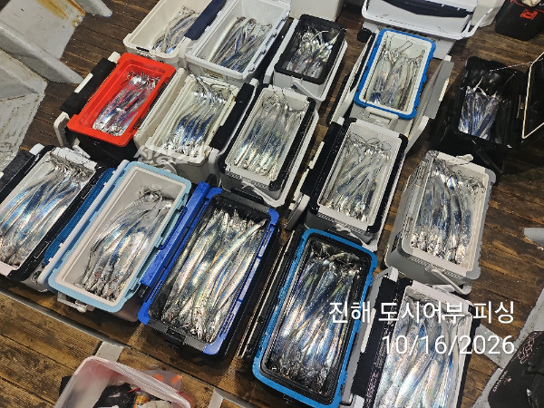 KakaoTalk_20261016_060819468_16.jpg