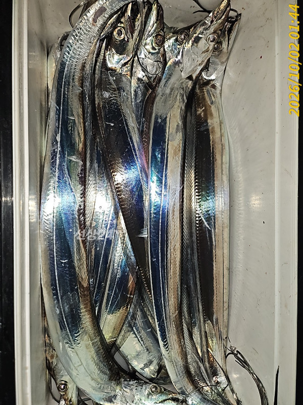 1000035683.jpg
