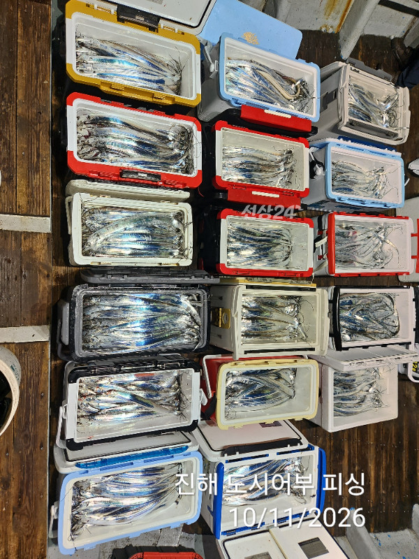 KakaoTalk_20261011_050252101_08.jpg
