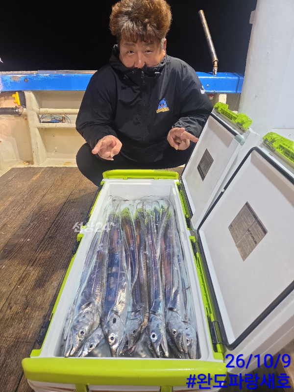 완도파랑새호(블루버드)_사진_20261009_3.jpg