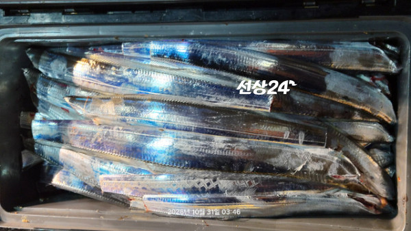 1004피싱_사진_20261031_2.jpg