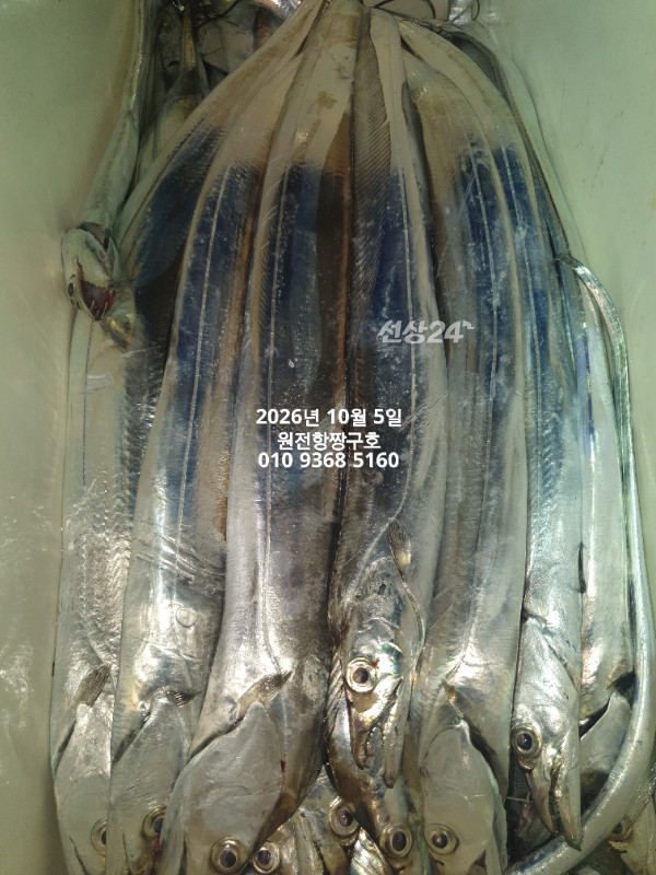 KakaoTalk_20261005_051425255_13.jpg