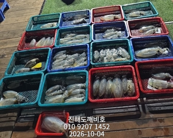 8946.jpg
