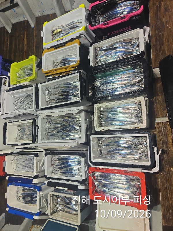 KakaoTalk_20261009_063157918_08.jpg
