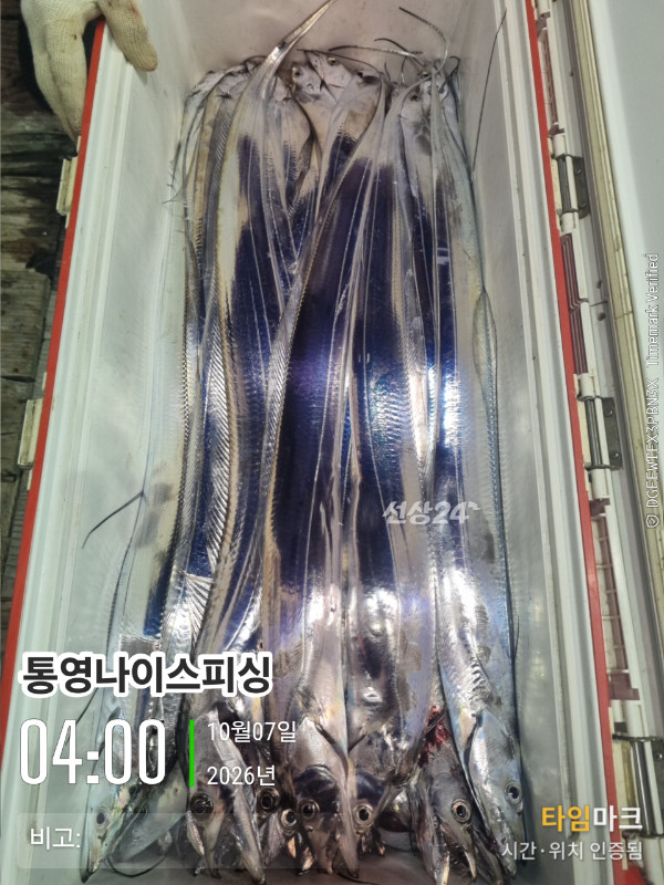 20261007_040049_글꼴-통영나이스피싱.jpg