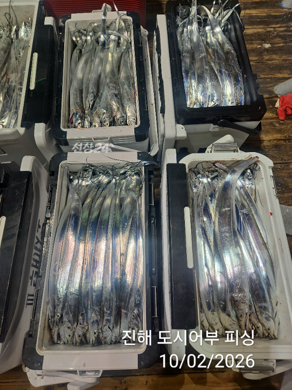 KakaoTalk_20261002_051645074_14.jpg
