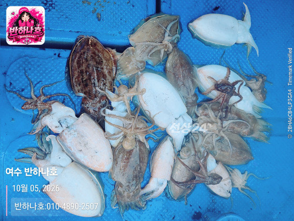 20261005_174036_제목-여수 반하나호_반하나호-010-4890-2507.jpg