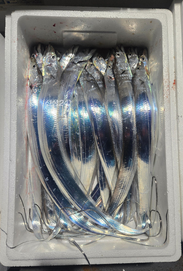 1792039820944.jpg
