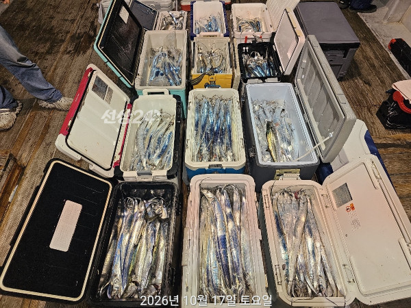 8ED19501-471E-44EE-BB5C-9B5978C09034.jpeg