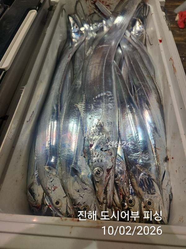 KakaoTalk_20261002_051645074_16.jpg
