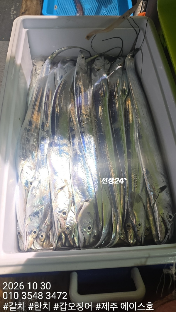 KakaoTalk_20261030_104958423_05.jpg