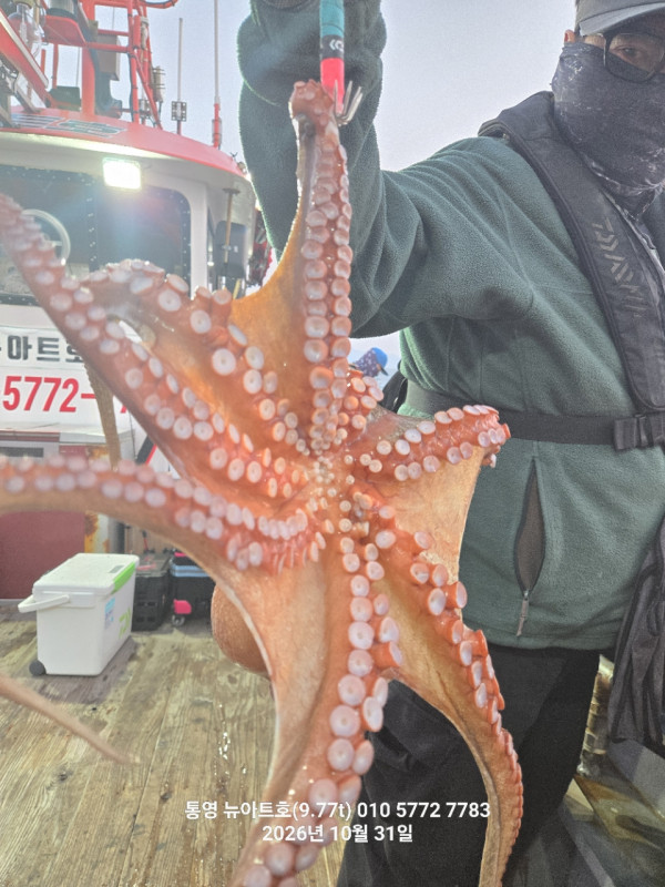 통영 전투낚시_사진_20261031_92.jpg