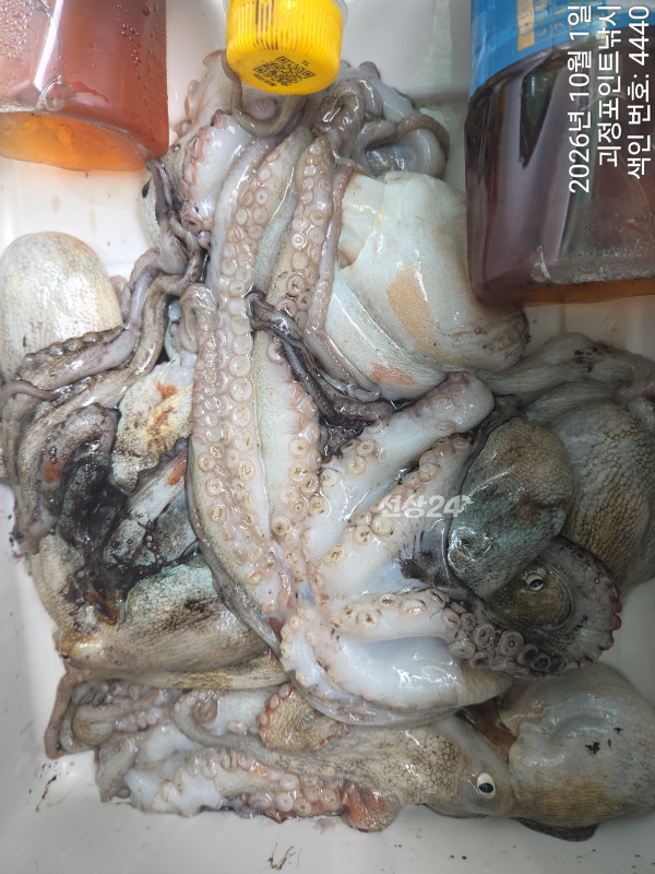 KakaoTalk_20261001_143154977_10.jpg